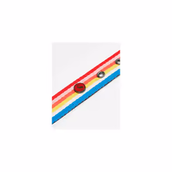 Joules Rainbow Stripe Dog Collar Medium