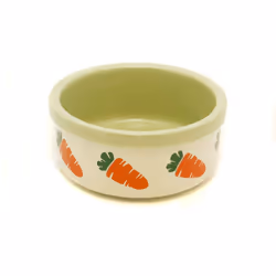 Stoneware Ceramic Bowl Carrot 5''