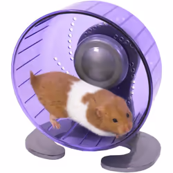 Rosewood Pico Exercise Wheel for Hamsters with Stand, Teal
