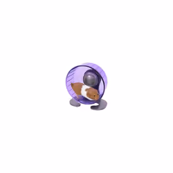 Rosewood Pico Exercise Wheel for Hamsters with Stand, Blue