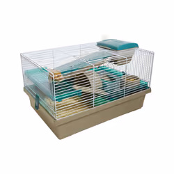 Options Small Animal Home Pico Translucent Teal 50x36x29cm