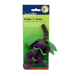 Boredom Breaker Grape N Gnaw