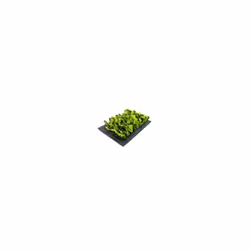 Boredom Breaker Snuffle Foarge Mat 29.5x20cm
