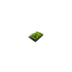Boredom Breaker Snuffle Foarge Mat 29.5x20cm
