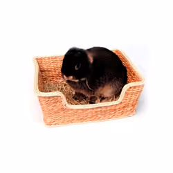 Naturals Chill 'n' Snooze Bed