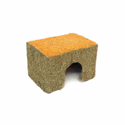 Rosewood Carrot Cottage for Small Animals - Medium - Single