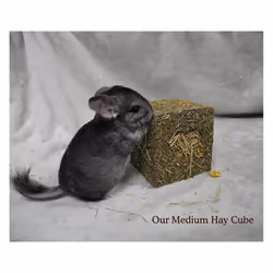Rosewood Naturals I Love Hay Forage Cube Treat and Toy for Small Animals - Medium & Large - Medium
