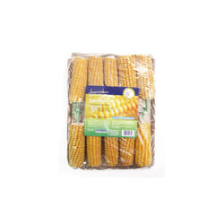 Boredom Breaker Corn On The Cob 10pk (Pack of 4)