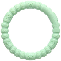 Rosewood Nylon Dog Chew Mint Ring, Large