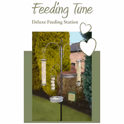 Rosewood Feeding Time Deluxe Wild Bird Feeding Station