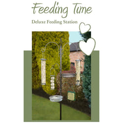 Rosewood Feeding Time Deluxe Wild Bird Feeding Station