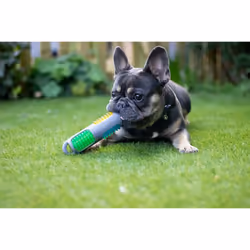 Throw and Flash Stick, interactive dog toy made of TPR rubber, Multicolored, Length: 19 cm