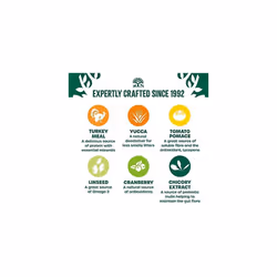James Wellbeloved Complete Hypoallergenic Adult Dry Cat Food Made With 100% Natural Ingredients and One Source of Animal Protein (Turkey), Grain-Free,