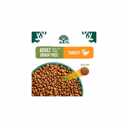 James Wellbeloved Complete Hypoallergenic Adult Dry Cat Food Made With 100% Natural Ingredients and One Source of Animal Protein (Turkey), Grain-Free,