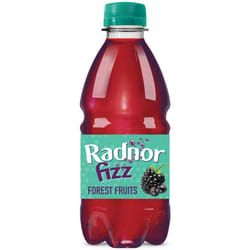 Radnor Fizz Forest Fruits - 24x330ml