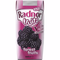 Radnor Fruits Forest Fruits Cartons - 24x200ml