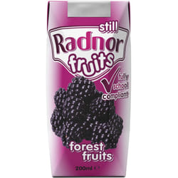 Radnor Fruits Forest Fruits Cartons - 24x200ml