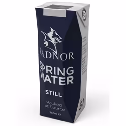 Radnor Hills Still Spring Water Cartons - 24x250ml