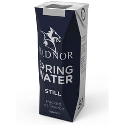 Radnor Hills Still Spring Water Cartons - 24x250ml