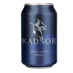 Radnor Hills SPRNG WTR STILL 330ML CAN P24