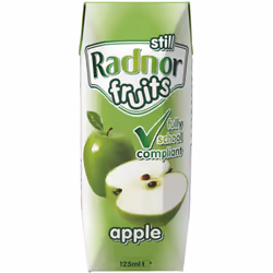 Radnor Fruits Still Apple Cartons - 60x125ml