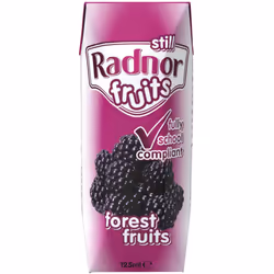 Radnor Fruits Still Forest Fruits Cartons - 60x125ml