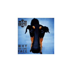 Big Country  Why the Long Face CD