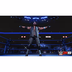 Take-Two Interactive WWE 2K19 Standard Xbox One