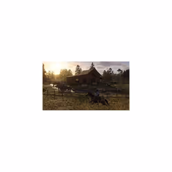 Red Dead Redemption 2 (PS4)