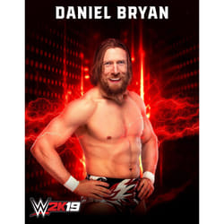Take-Two Interactive WWE 2K19 PlayStation 4