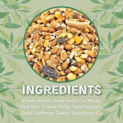 Wild Bird Seed Supreme Mix 20kg â All Year-Round Bird Food â 100% Natural Ingredients Including Peanuts for Wild Birds â Suitable for All Wild