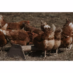 Copdock Mill Range Layers Pellets Complete Feed for all types of poultry, ducks, geese & bantams, 20kg bag from