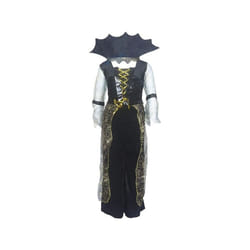 Creepy Spiderella Witch Halloween Costume - 4-6yrs