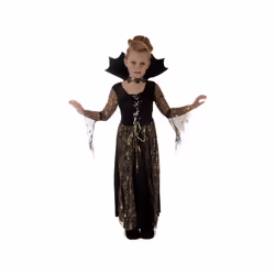 Creepy Spiderella Witch Halloween Costume - 4-6yrs