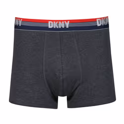 DKNY Trunks CEDAR - Blue, Small