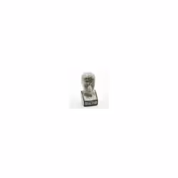 12" PHRENOLOGY HEAD
