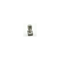 12" PHRENOLOGY HEAD