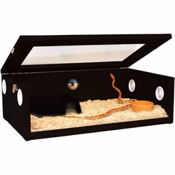 HabiStat Hatching Snake Starter Kit in Black