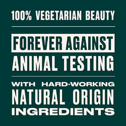 The Body Shop Olive Shower Gel  Paraben-Free Body Wash  8.4 Fl Oz (Pack of 1)
