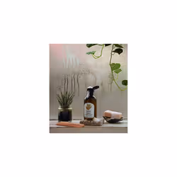 The Body Shop Body Skin Care Product Body Shop Shampoo Ginger 250ml - 250ml