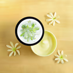 The Body Shop Body Yogurt 200ml Moringa