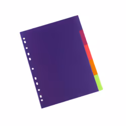 Rexel Translucent Polypropylene 5 Part Divider Multicolour, 210 mm, 297 mm, 235 mm, 297 mm, 297 mm