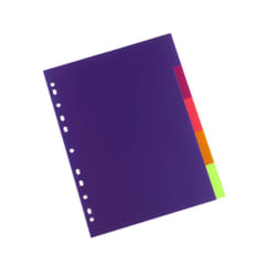 Rexel Translucent Polypropylene 5 Part Divider Multicolour