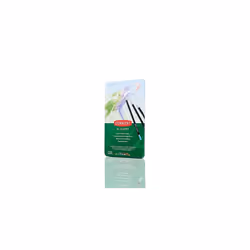 Academy Pastel Colour Pencils, Set of 12 in Tin, For Aspiring Artists, Ideal for Colouring & Drawing, Premium Quality, 230602 ...