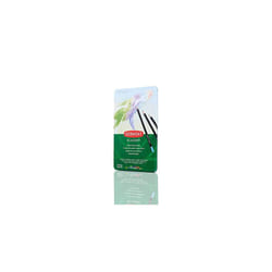 Academy Pastel Colour Pencils, Set of 12 in Tin, For Aspiring Artists, Ideal for Colouring & Drawing, Premium Quality, 2306022, Black