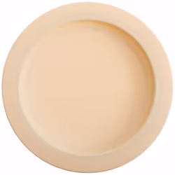 Sammons Preston Plate with Inside Edge, 9" Plate with Food Spill Prevention Aid, Durable Plates with Inner Lip, Eating Suppor ...