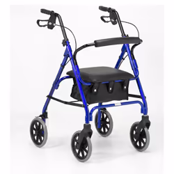 Days Lightweight Folding Four Wheel Rollator Walker with Padded Seat, Lockable Brakes, Ergonomic Handles, and Carry Bag, Limited Mobility Aid,...