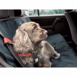 Car Seat Cover Charcoal Grey 140x115cm