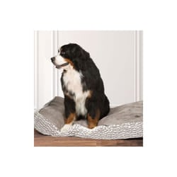 Arctic Box Duvet Medium 88x67x12cm