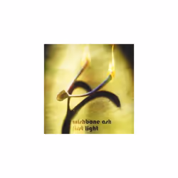 Wishbone Ash First Light CD (2007)